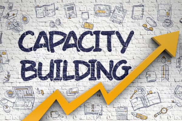 Capacity & Productivity Building